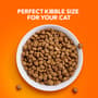 Thumbnail Image for 247289-2