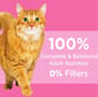 Thumbnail Image for 227690-7