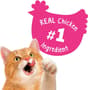Thumbnail Image for 226494-5
