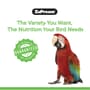 Thumbnail Image for 238124-3