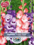 Thumbnail Image for 230966-1