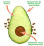 Thumbnail Image for 244881-4
