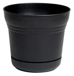Image for 253087