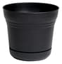 Thumbnail Image for 253087-1