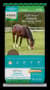 Thumbnail Image for 117726-1
