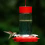 Thumbnail Image for 237496-1