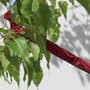 Thumbnail Image for 113082-1