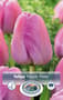 Thumbnail Image for 235121-1