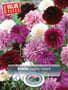 Thumbnail Image for 230973-1