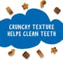 Thumbnail Image for 226492-2