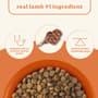 Thumbnail Image for 249371-3
