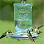 Thumbnail Image for 260491-1