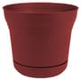 Thumbnail Image for 239604-1