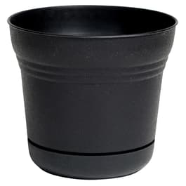 Image for 253072
