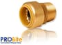 Thumbnail Image for 204454-2