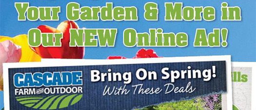 Cover of Cascade online ad