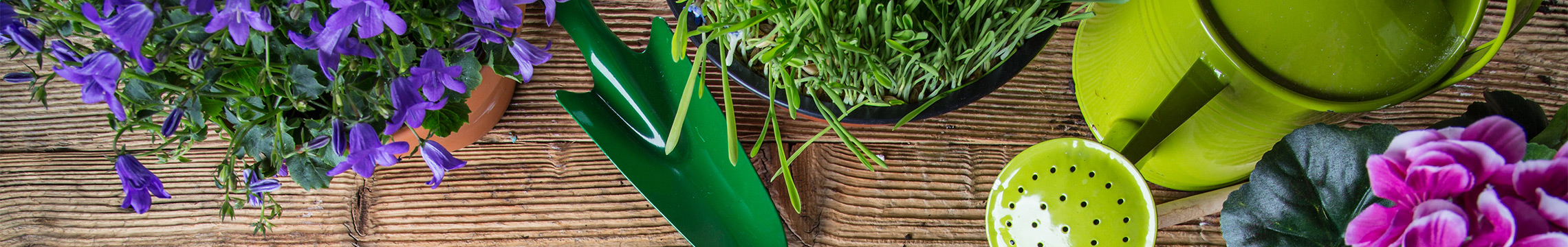 Green metal watering can and trowel with loose soil and potted grass