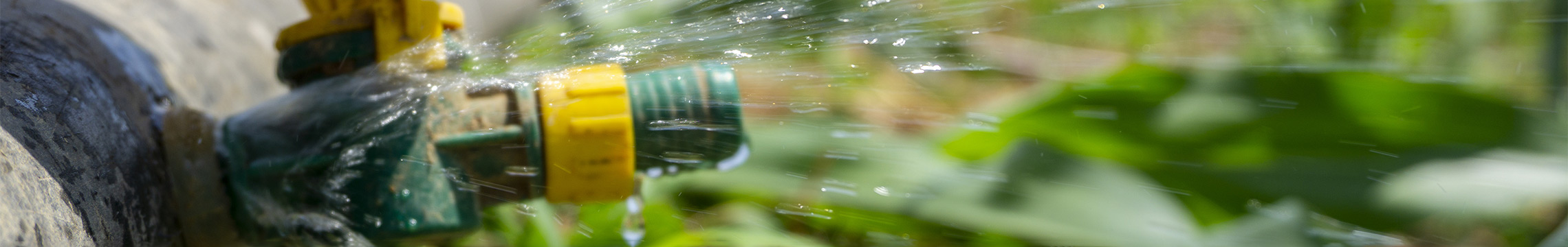 Hand twisting open spigot on irrigation pipe in a field