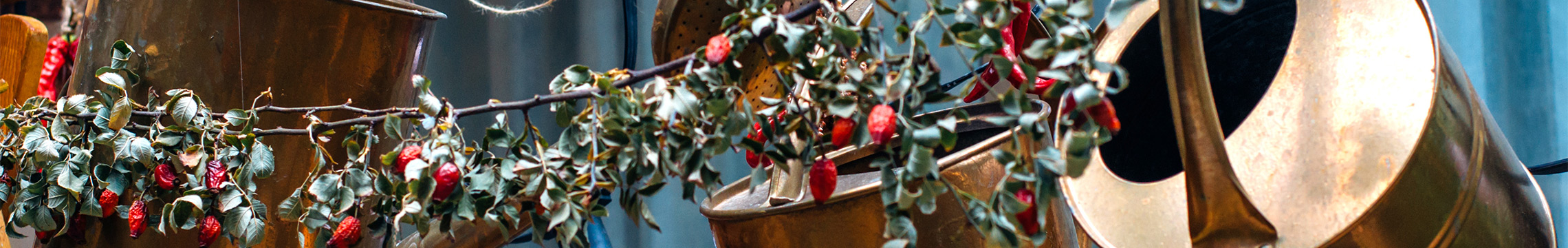 Metal watering cans and holly drying on a clothes line
