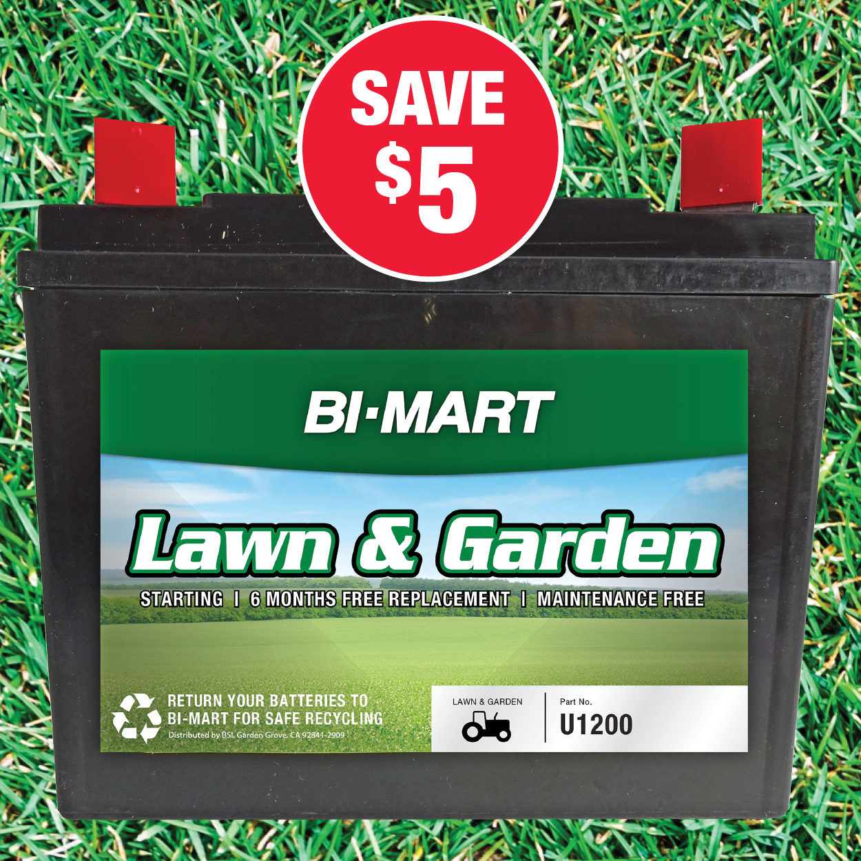 Bi-Mart Lawn & Garden CCA166 Battery