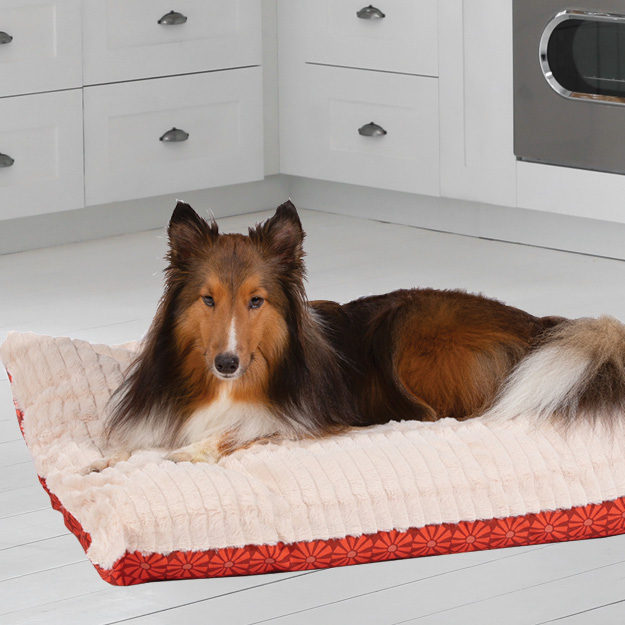 Carpenter Co Pillow Dog Bed