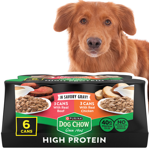 Purina Dog Chow 6 ct Wet Dog Food