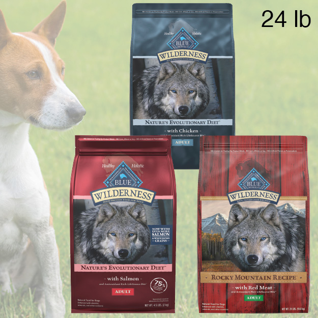 Blue Buffalo Wilderness 24 lb Dry Dog Food
