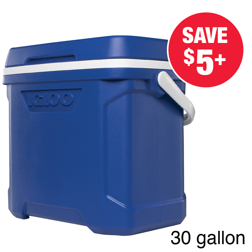 Igloo 30 qt Cooler