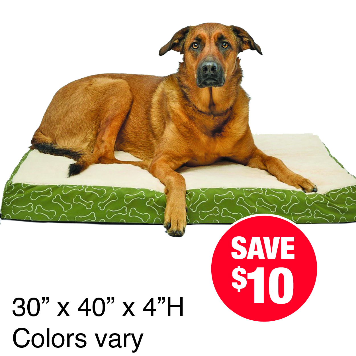 Odie Orthopedic Pet Bed