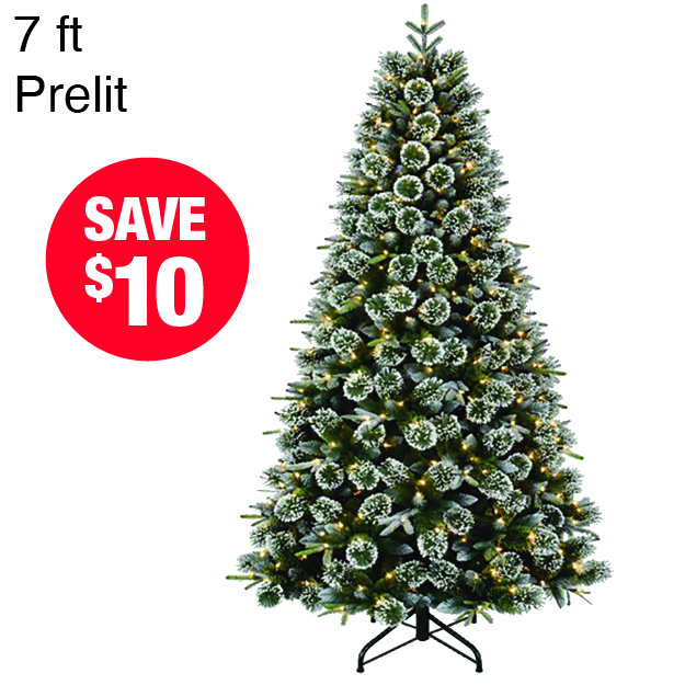 Santa's Forest 7 ft Prelit Frosted Scotch Pine