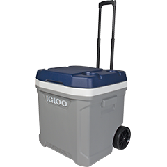 Igloo 62 Qt Cooler