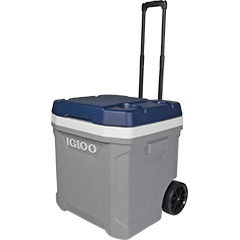 Igloo 62 Quart Cooler