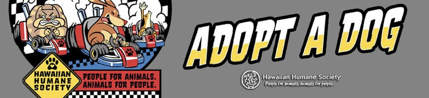 Men's Adopt-A-Dog🐾 Clothing

