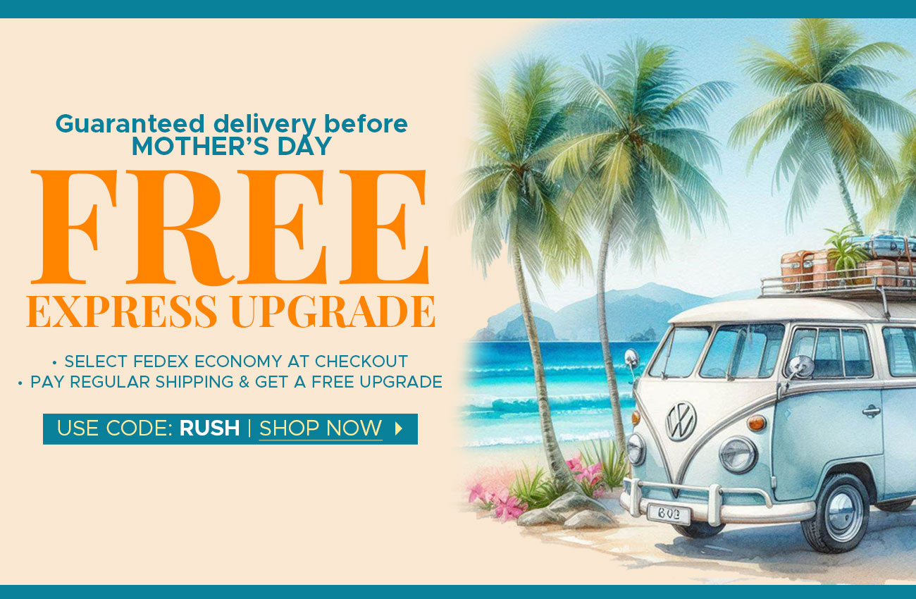 Free Express Upgrade | Shop Now